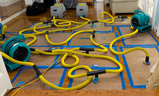 Professional Basement Flood Cleanup technician working in Killeen, TX